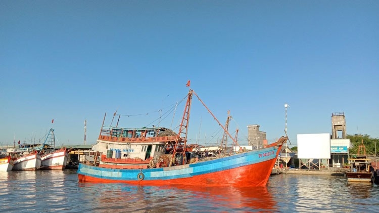 Bến Tre quyết tâm cùng cả nước gỡ cảnh báo 'thẻ vàng' IUU