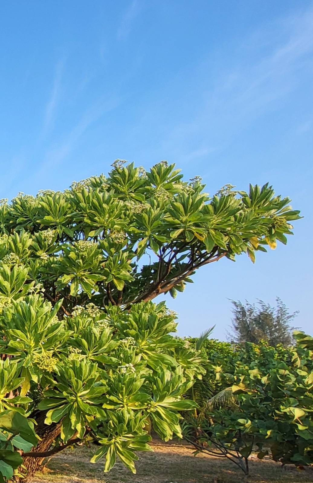 Trường Sa trong tôi: Tự hào đặc công nước Trường Sa (Kỳ II) Trường Sa trong tôi: Tự hào đặc công nước Trường Sa (Kỳ II)