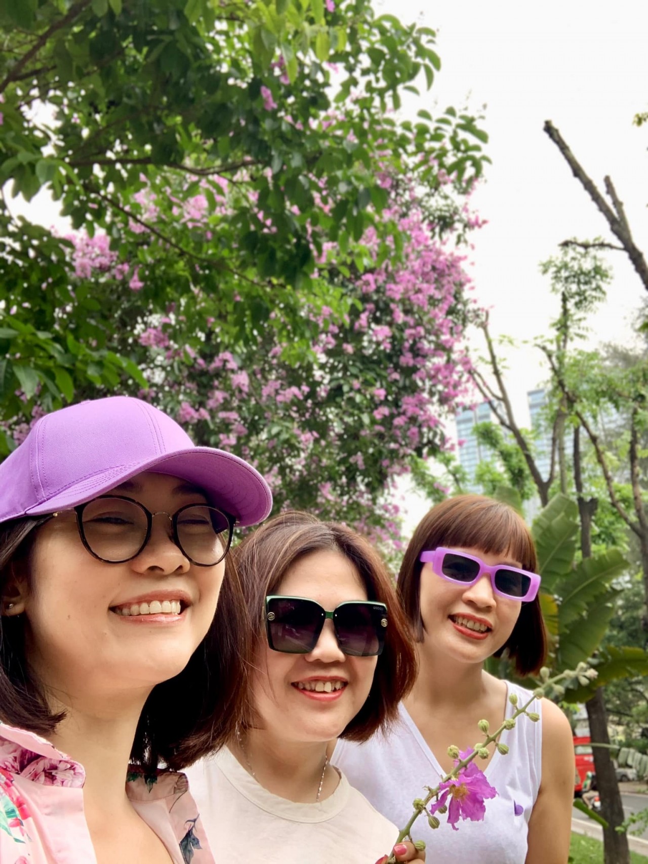 Hoa bằng lăng 'nhuộm' tím phố phường Hà Nội