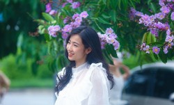 Hoa bằng lăng nở rộ, 'nhuộm' tím phố phường Hà Nội, phái nữ đua nhau check-in