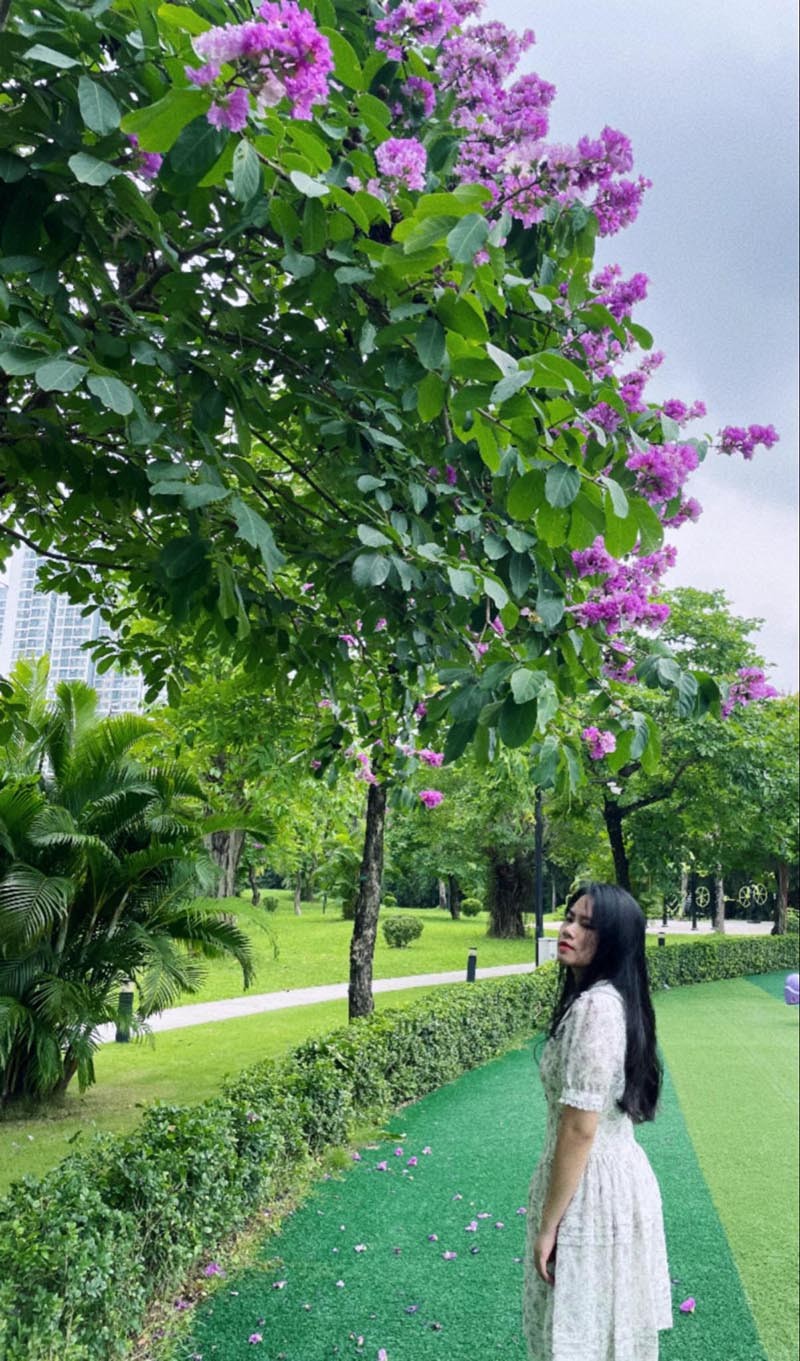 Hoa bằng lăng 'nhuộm' tím phố phường Hà Nội, các thiếu nữ...