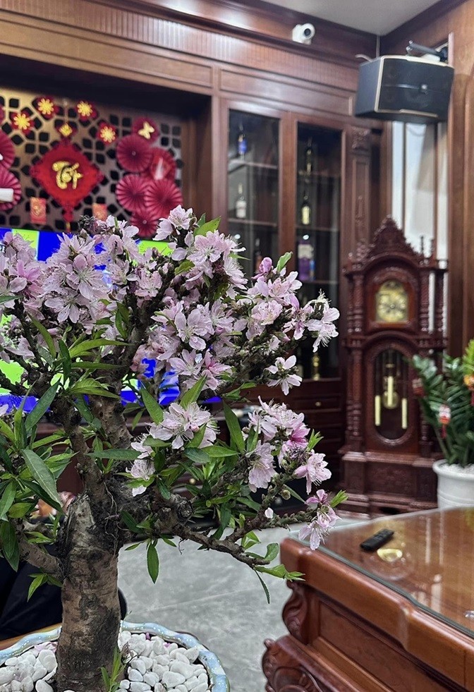 Trong phòng khách lắp đặt camera an ninh và hệ thống loa phục vụ nhu cầu giải trí của gia đình.