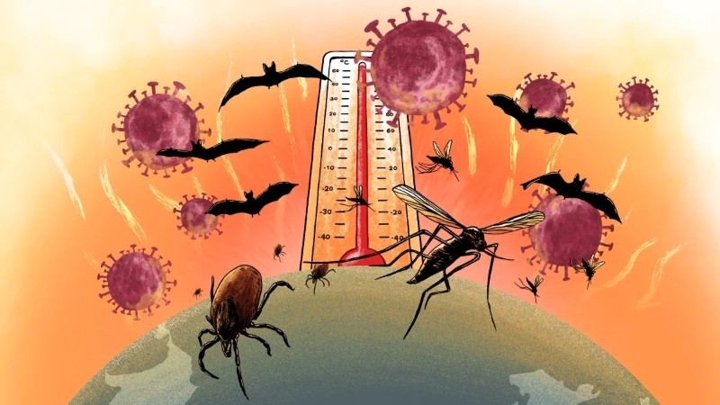 chuyen gia canh bao dai dich ke tiep covid19 he lo nguon goc