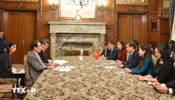 Hoạt động tiếp xúc song phương của Phó Thủ tướng Chính phủ Lê Minh Khái tại Nhật Bản