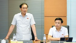 Bộ trưởng Ngoại giao Bùi Thanh Sơn: Doanh nghiệp các nước trong cộng đồng quốc tế tin tưởng vào Việt Nam