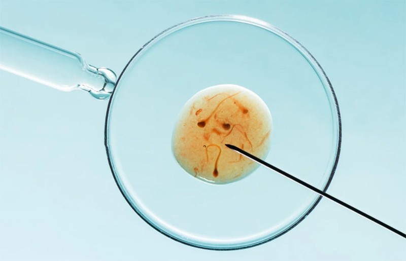 Bên trong ngành công nghiệp sản xuất trẻ em trị giá hàng tỷ đô la ở châu Á, nơi những điều kỳ diệu nhỏ không hề rẻ