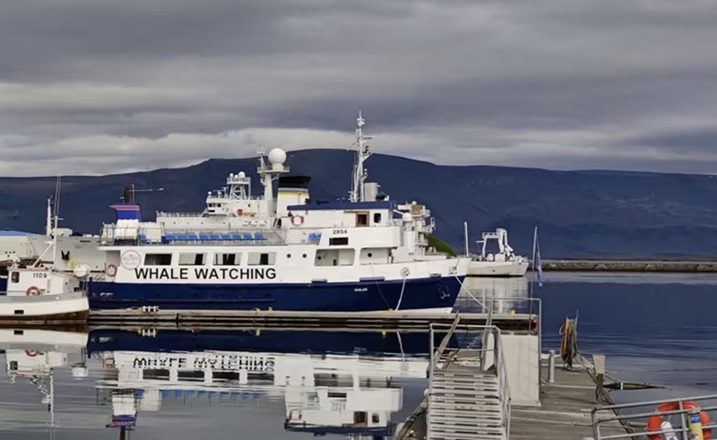 Thuyền ngắm cá voi ở Iceland: Các hoạt động tập trung vào nước phổ biến khác bao gồm bơi lội hoang dã và lao xuống nước lạnh. Thuyền ngắm cá voi ở Iceland: Các hoạt động tập trung vào nước phổ biến khác bao gồm bơi lội hoang dã và lao xuống nước lạnh.