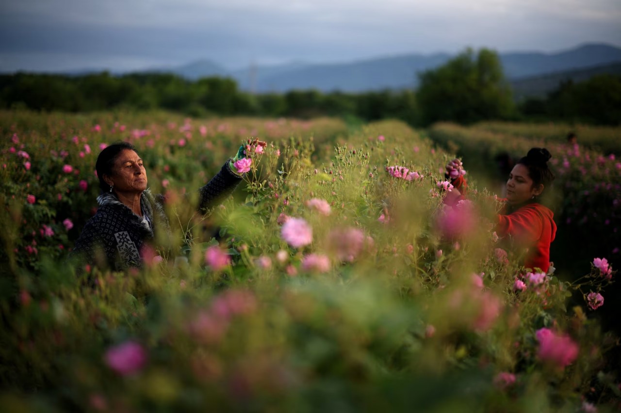 Ảnh ấn tượng (20 26/5): Nga nói đàm phán với Ukraine phải dựa trên ‘lẽ thường’, Kiev khẳng định tên lửa S-300/S-400 hoạt động ở ‘chảo lửa’ Kharkov