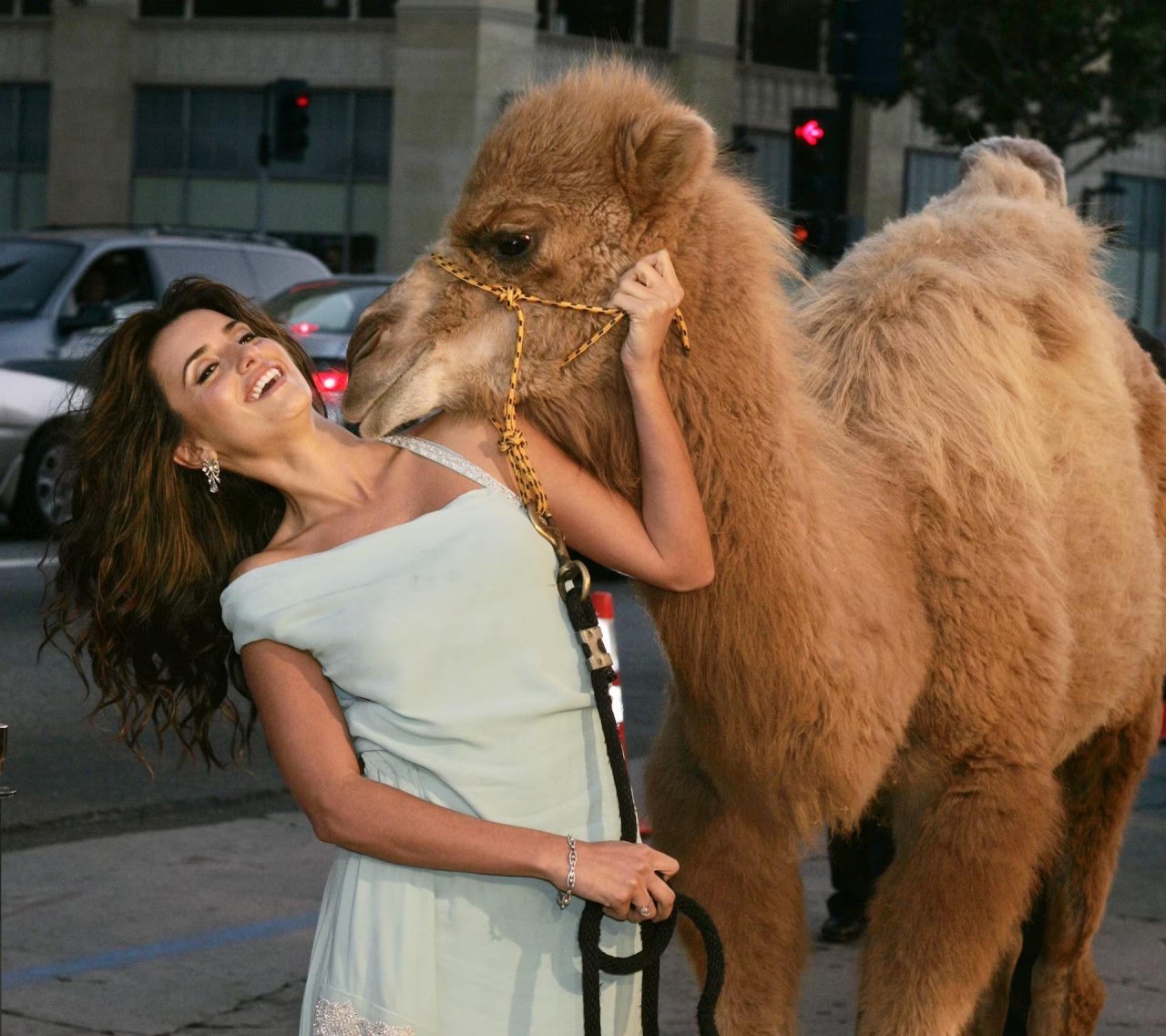 Khoảnh khắc đáng yêu trên thảm đỏ của những ‘người bạn’ lắm lông