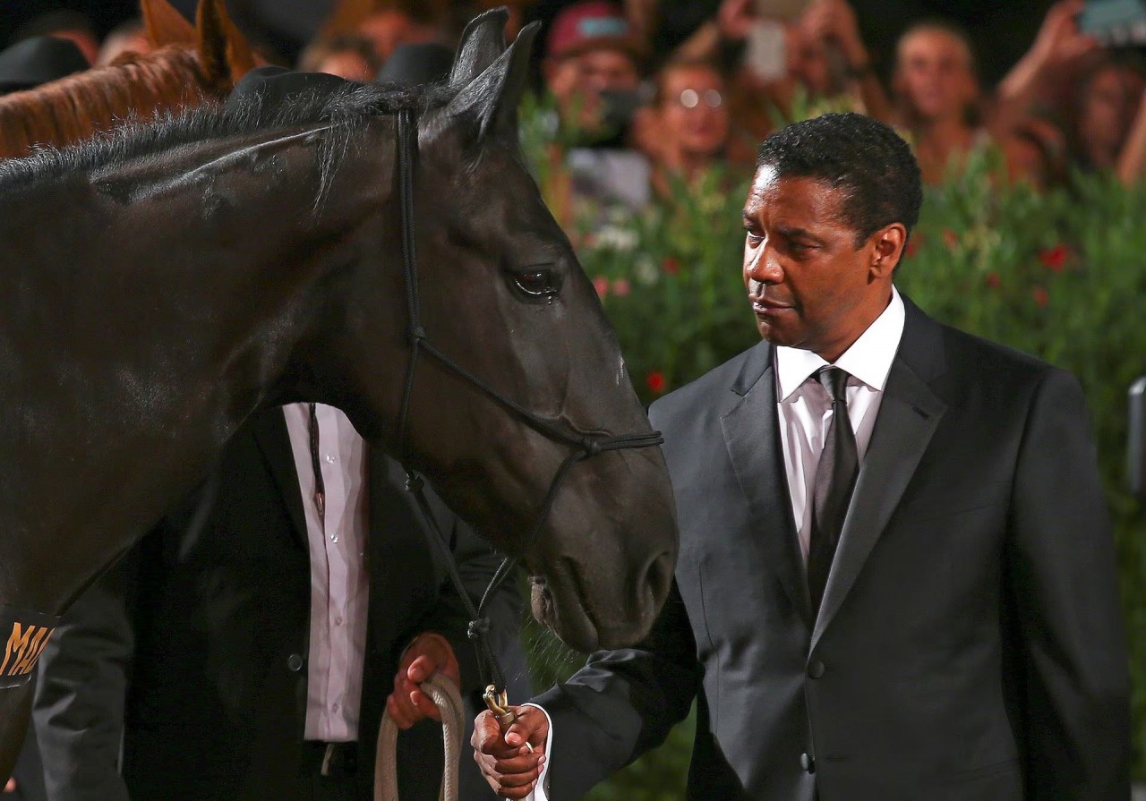 Khoảnh khắc đáng yêu trên thảm đỏ của những ‘người bạn’ lắm lông