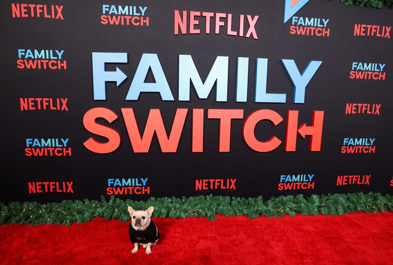 Khoảnh khắc đáng yêu trên thảm đỏ của những ‘người bạn’ lắm lông