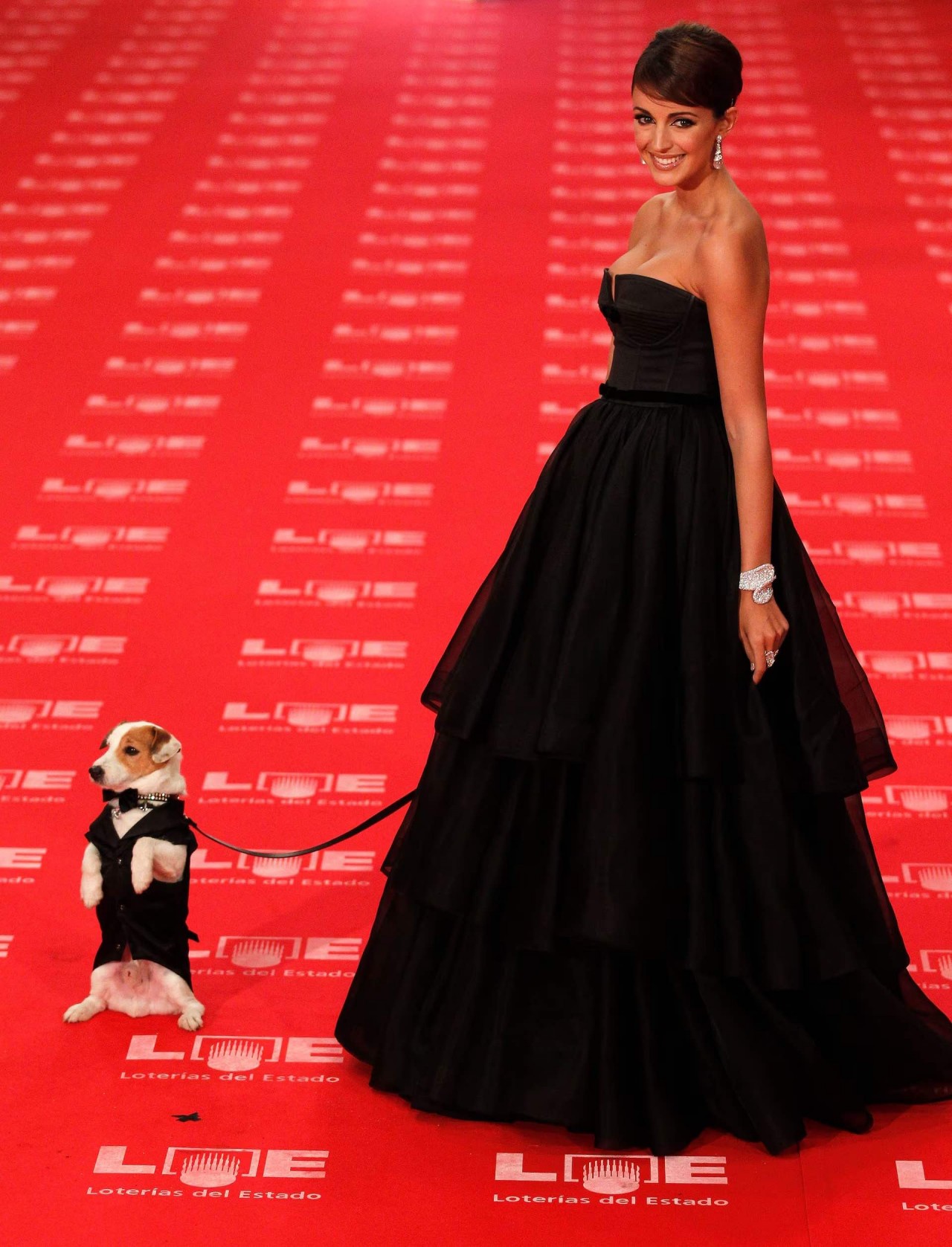 Khoảnh khắc đáng yêu trên thảm đỏ của những ‘người bạn’ lắm lông