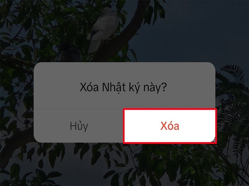Xóa story trên TikTok chỉ với vài thao tác đơn giản