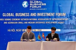 Mở rộng cơ hội kinh doanh, phát triển thị trường tại Diễn đàn Đầu tư và Kinh doanh toàn cầu
