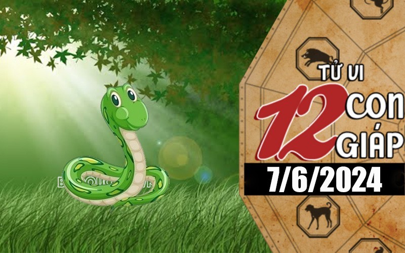 Tử vi hôm nay, xem tử vi 12 con giáp hôm nay ngày 7/6/2024: Tuổi Tỵ công việc sáng tạo