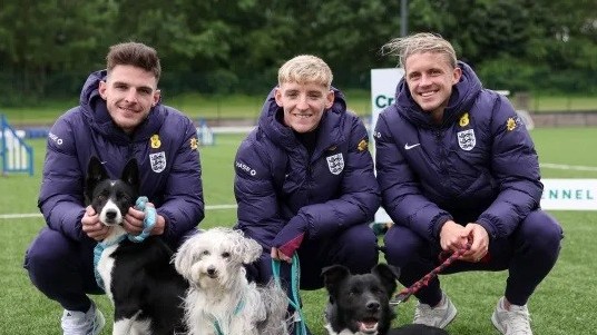 Dàn sao tuyển Anh tham gia cuộc thi vui nhộn với thú cưng trước Euro 2024