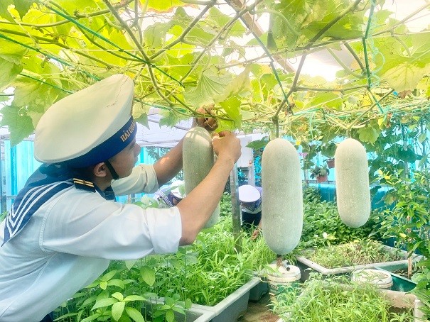 Chuyện cỏ cây ở Trường Sa Chuyện cỏ cây ở Trường Sa