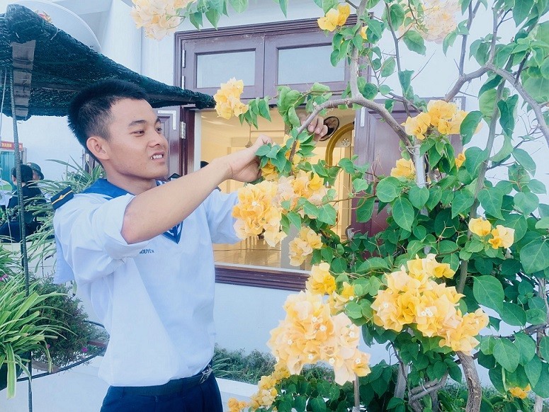 Chuyện cỏ cây ở Trường Sa Chuyện cỏ cây ở Trường Sa