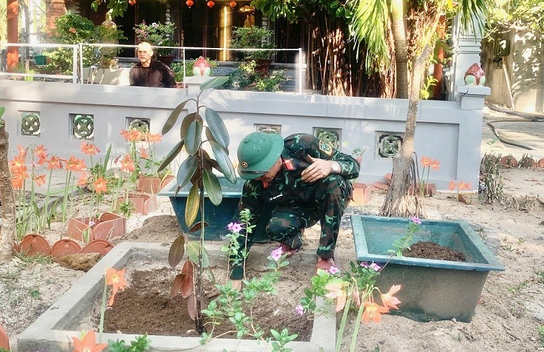 Chuyện cỏ cây ở Trường Sa Chuyện cỏ cây ở Trường Sa