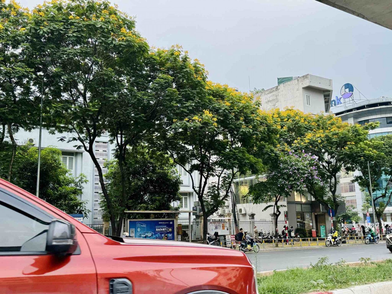 Ngắm sắc hoa rực rỡ mùa Hè Hà Nội