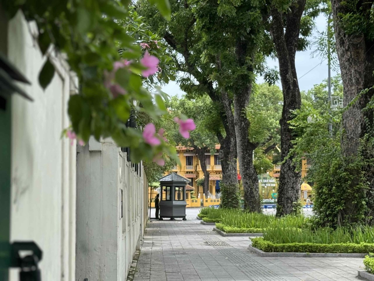 Ngắm sắc hoa rực rỡ mùa Hè Hà Nội