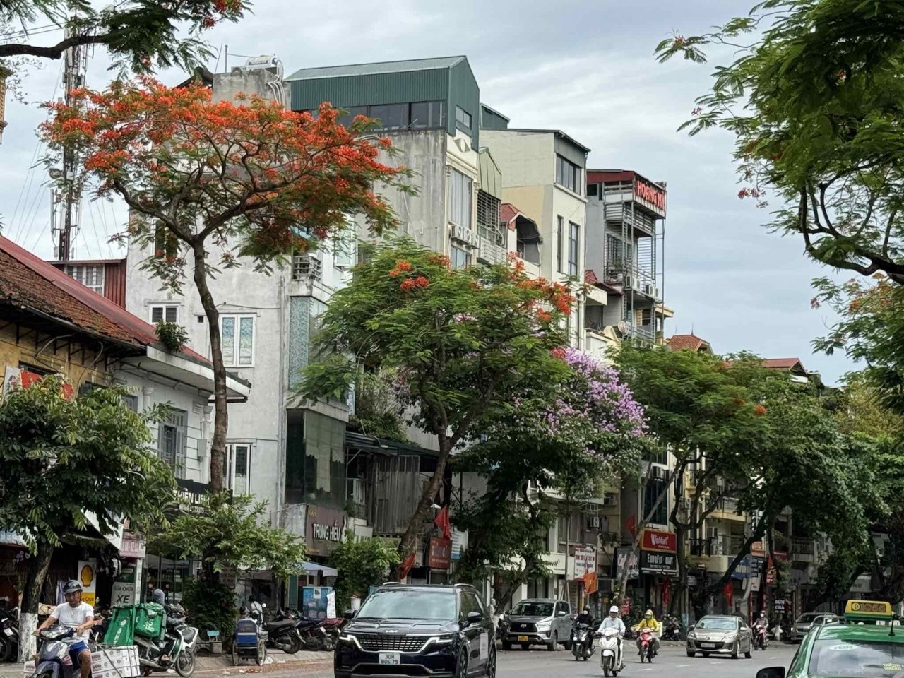 Ngắm sắc hoa rực rỡ mùa Hè Hà Nội