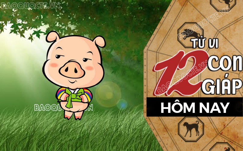 Tử vi hôm nay, xem tử vi 12 con giáp hôm nay ngày 14/2/2026: Tuổi Hợi công việc may mắn