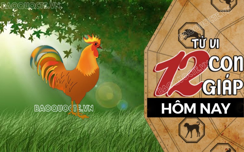 Tử vi hôm nay, xem tử vi 12 con giáp hôm nay ngày 4/12/2025: Tuổi Dậu sự nghiệp hanh thông, thuận lợi