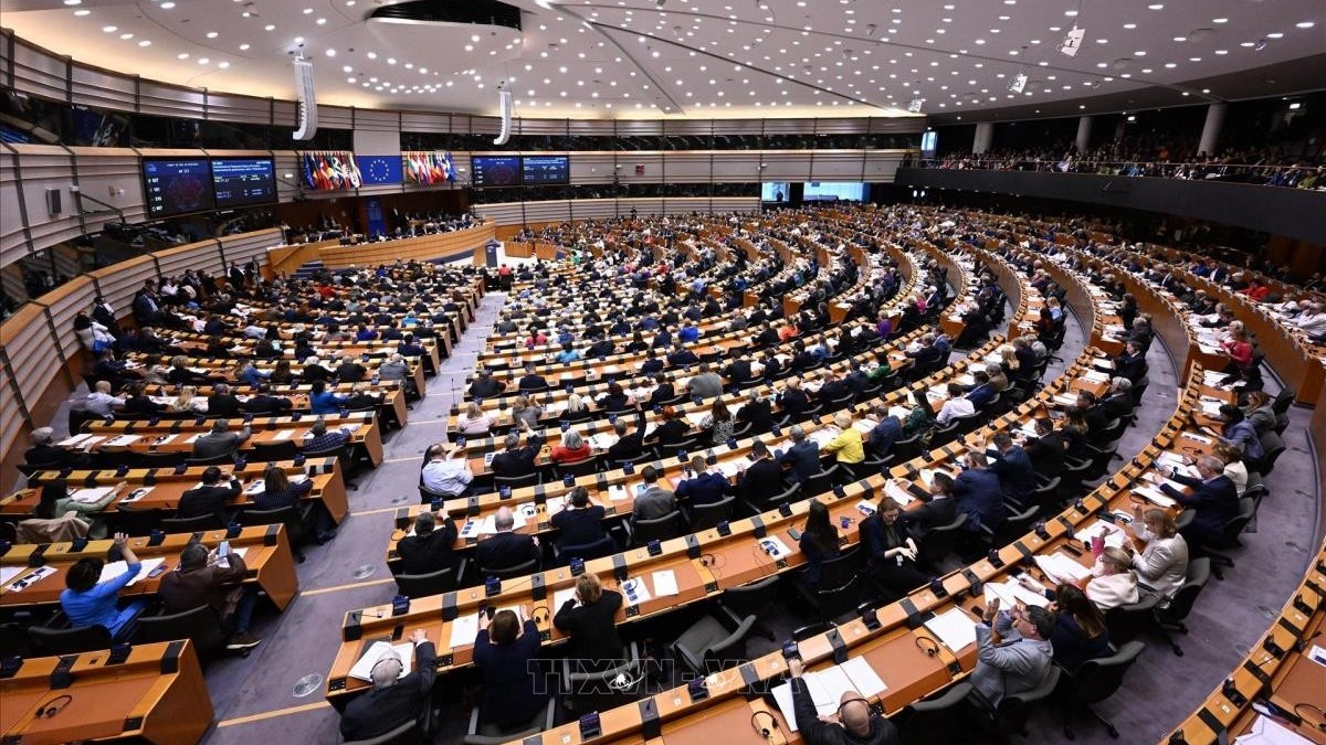 Lo ngại nguy cơ phe cực hữu chiếm ưu thế trong cuộc bầu cử Nghị viện châu Âu, nhiều cử tri Đức lên tiếng