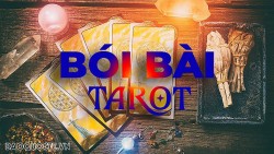 Bài tarot hôm nay 23/6: Mười năm sau, bạn có giàu hơn hiện tại không?