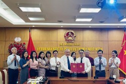 Tăng cường phối hợp hỗ trợ pháp lý cho người Việt Nam ở nước ngoài