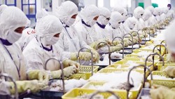 Rủi ro thương mại nghiêm trọng từ động thái chính sách mới của Hoa Kỳ, doanh nghiệp cần làm gì?