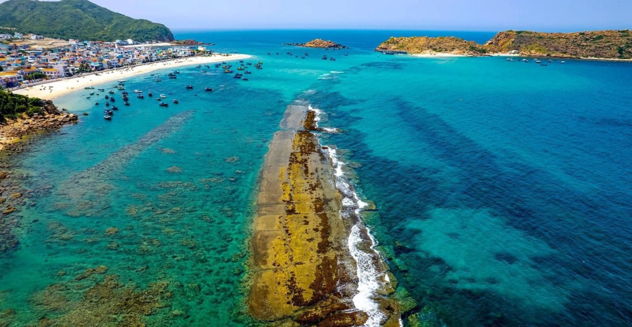 Ngắm trọn mùa rong mơ - ‘đặc sản’ mùa Hè ở Nhơn Hải, Bình Định Ngắm trọn mùa rong mơ - ‘đặc sản’ mùa Hè ở Nhơn Hải, Bình Định