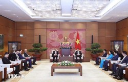 Việt Nam luôn coi trọng và mong muốn đẩy mạnh quan hệ quan hệ hữu nghị, hợp tác nhiều mặt với Morocco