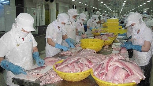 ca tra viet dat hang tai hong kong trung quoc