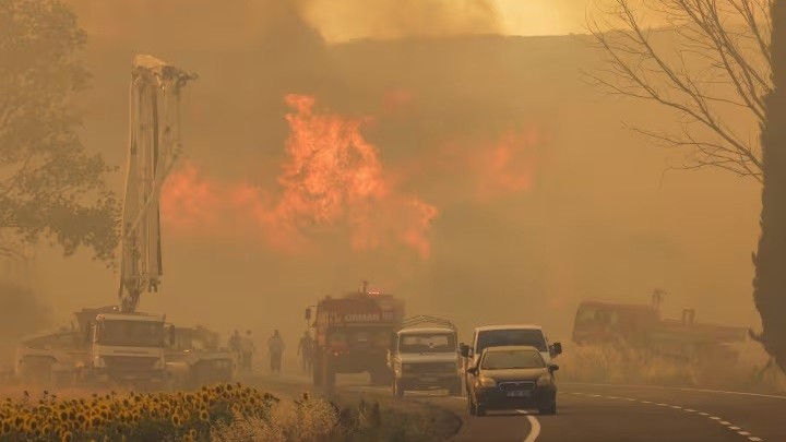 chay rung nghiem trong tai hy lap va tho nhi ky gay thiet hai nang ne