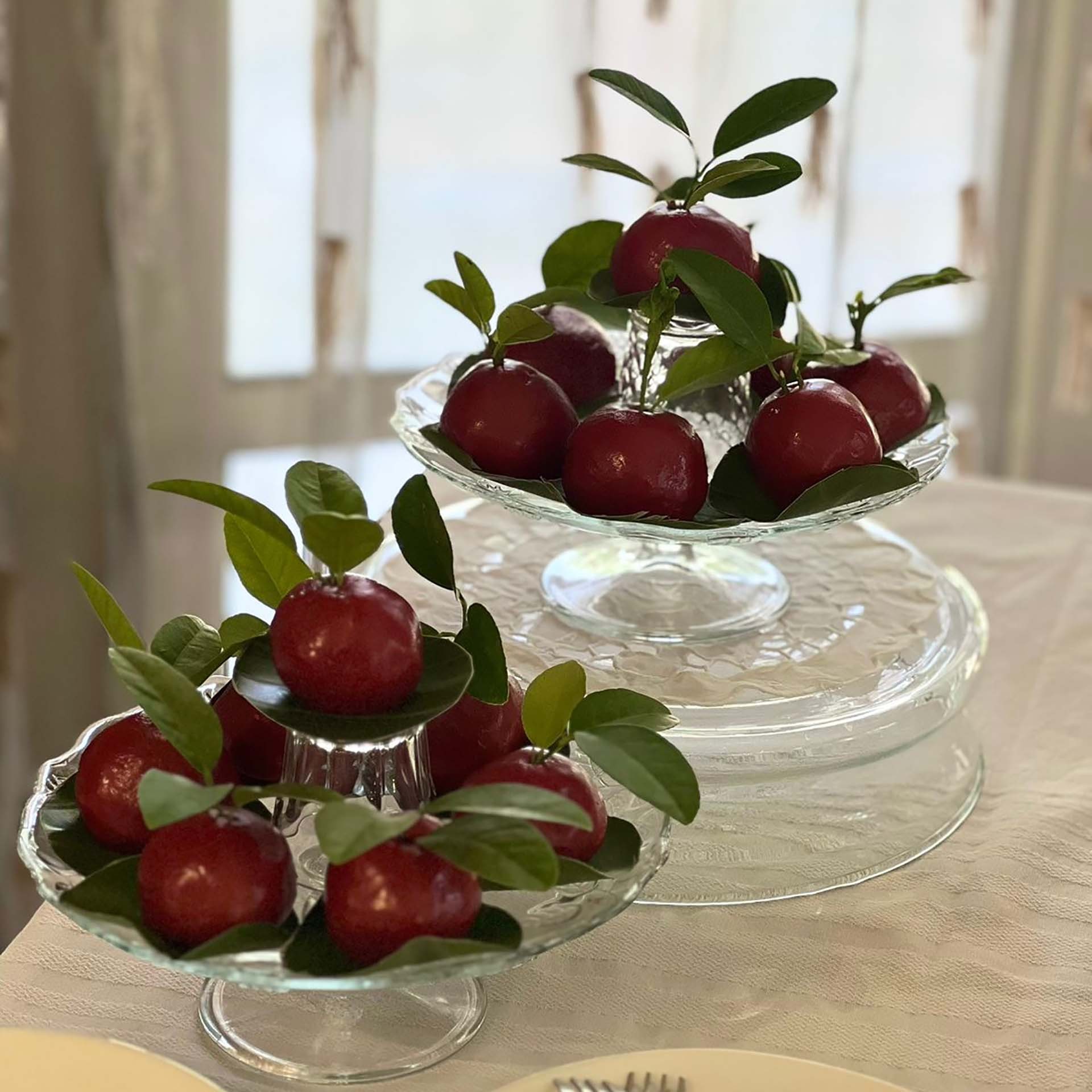 Giới thiệu ẩm thực truyền thống Việt Nam tới bạn bè quốc tế và đoàn ngoại giao tại Ai Cập Giới thiệu ẩm thực truyền thống Việt Nam tới bạn bè quốc tế và đoàn ngoại giao tại Ai Cập