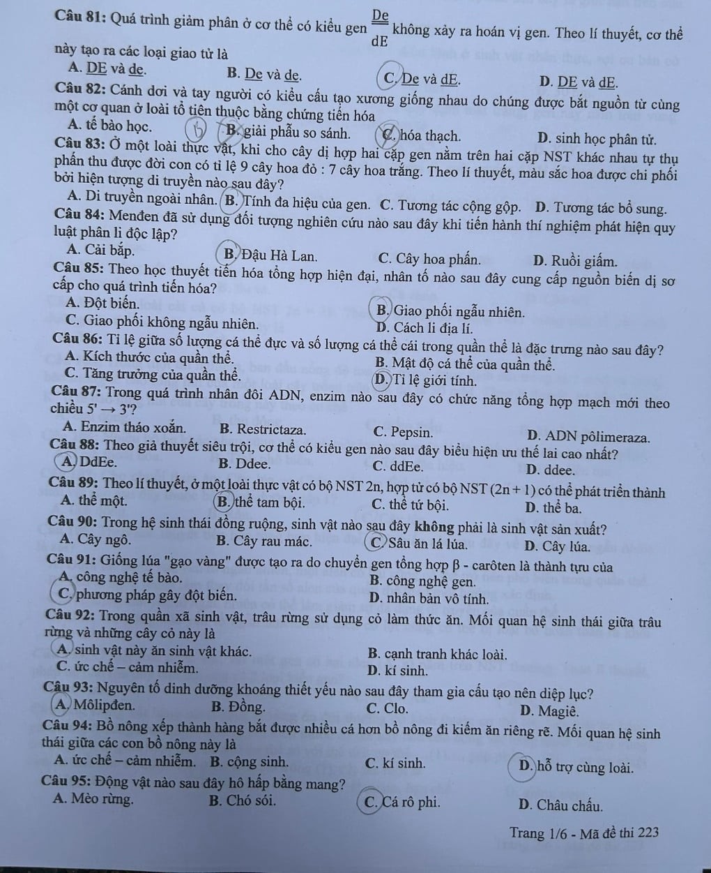 Thi tốt nghiệp THPT 2024: Đề thi và đáp án mông Sinh học Thi tốt nghiệp THPT 2024: Đề thi và đáp án mông Sinh học
