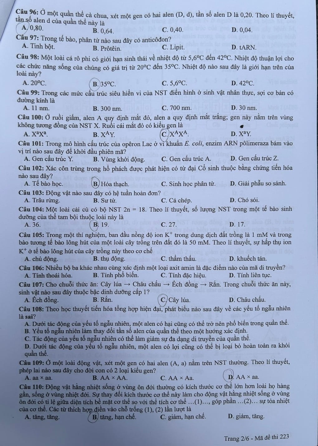 Thi tốt nghiệp THPT 2024: Đề thi và đáp án mông Sinh học Thi tốt nghiệp THPT 2024: Đề thi và đáp án mông Sinh học