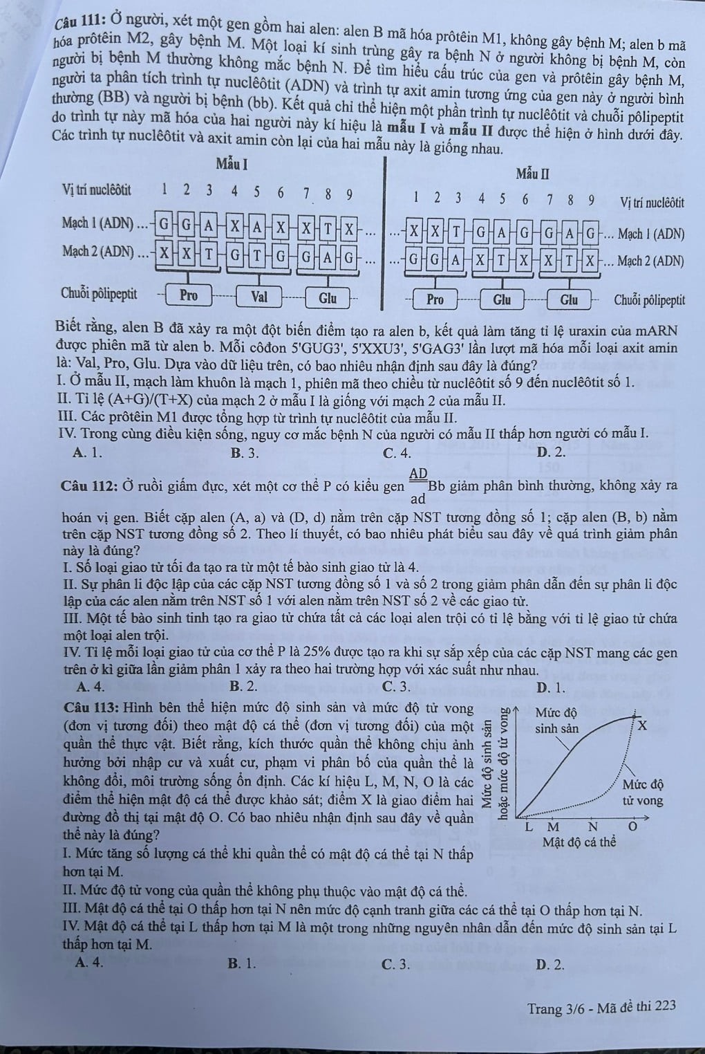 Thi tốt nghiệp THPT 2024: Đề thi và đáp án mông Sinh học Thi tốt nghiệp THPT 2024: Đề thi và đáp án mông Sinh học