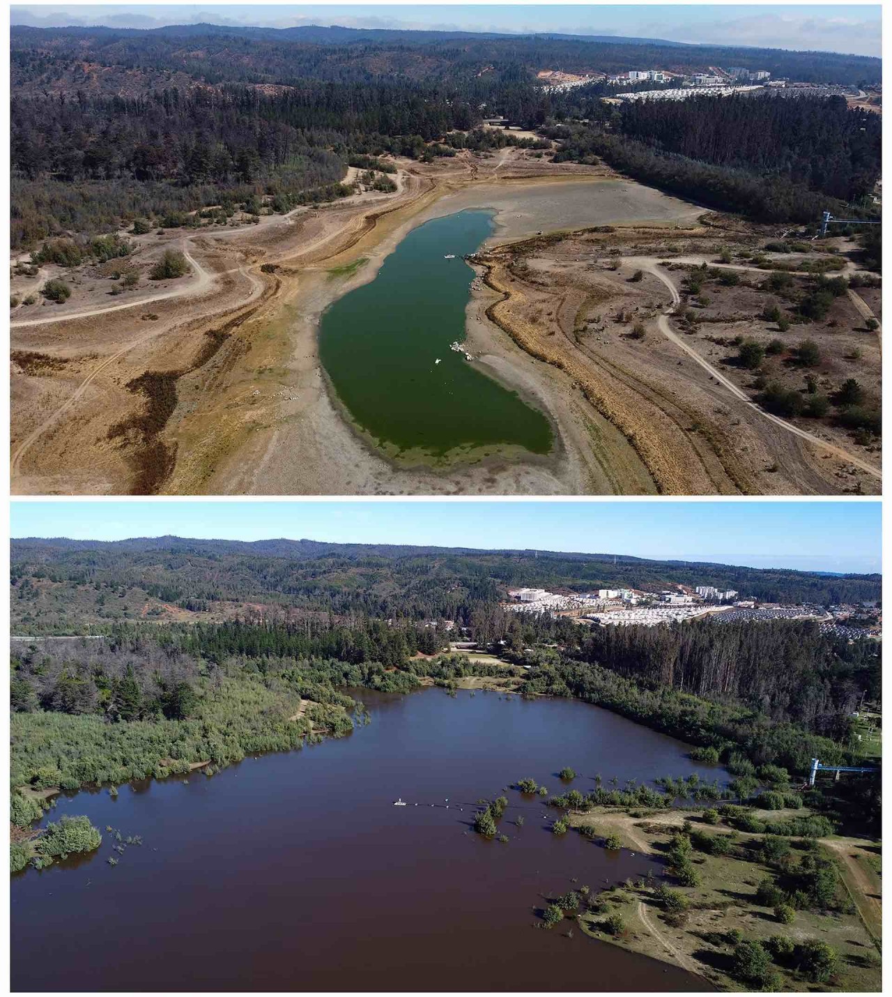 Các hồ khô cạn ở Chile ‘hồi sinh’ sau những trận mưa như trút nước