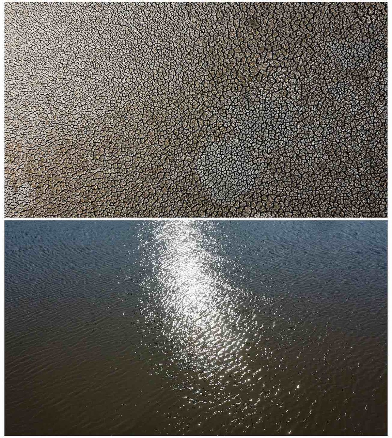 Các hồ khô cạn ở Chile ‘hồi sinh’ sau những trận mưa như trút nước