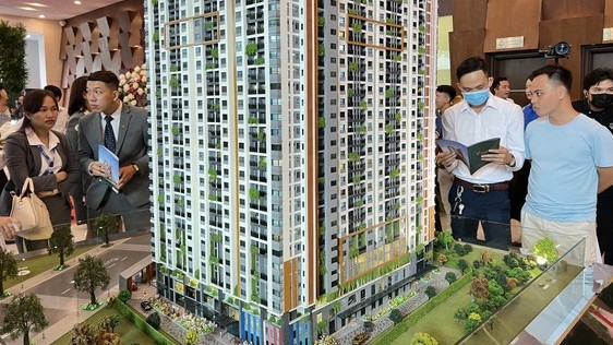 moi gioi bat dong san khong duoc hanh nghe tu do tu ngay 112025