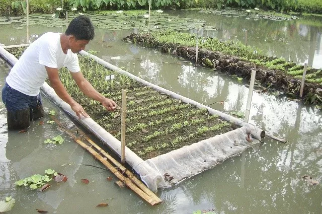 Kinh tế Philippines chuyển biến tích cực nhờ hiện tượng La Nina Kinh tế Philippines chuyển biến tích cực nhờ hiện tượng La Nina