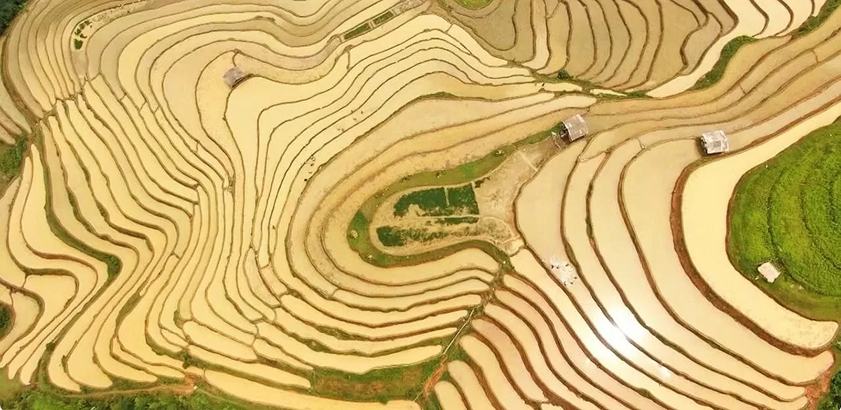 Ruộng bậc thang Hoàng Su Phì: ‘Bức tranh’ thổ cẩm đầy sắc màu giữa lưng chừng trời Ruộng bậc thang Hoàng Su Phì: ‘Bức tranh’ thổ cẩm đầy sắc màu giữa lưng chừng trời