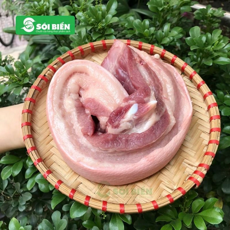 gia heo hoi hom nay 137 gia giam nhung tien bo ve di truyen va bo sung sua truoc khi tach me cho heo con mang lai loi ich ro rang