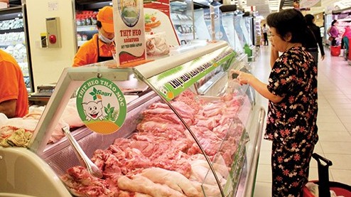 gia heo hoi hom nay 157 tang giam trai chieu chinh phu yeu cau thuc hien nghiem cac bien phap phong chong benh dthcp