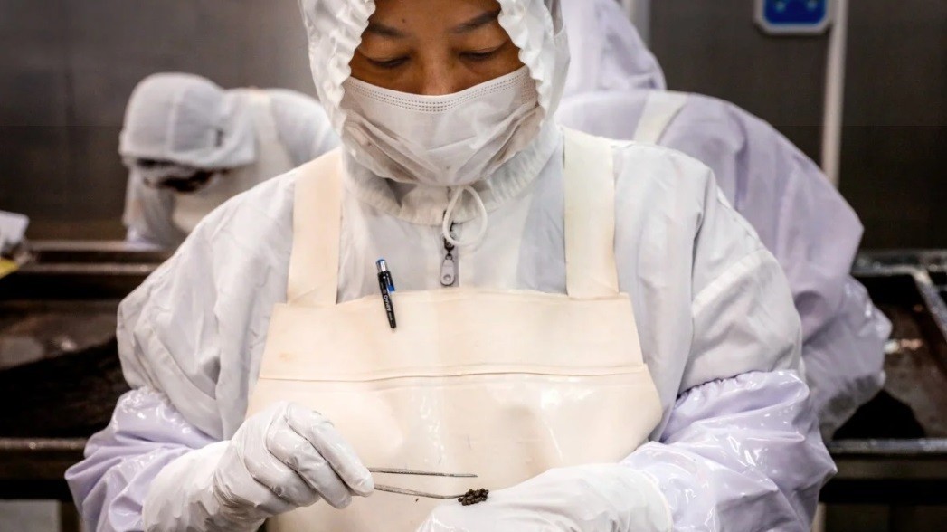 trung quoc bo tui hang chuc trieu usd moi nam nho cung cap mot thuc pham xa xi cho gioi nha giau the gioi