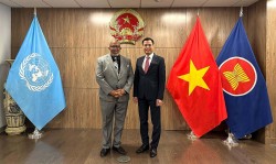 Song hành cùng các sứ mệnh Liên hợp quốc