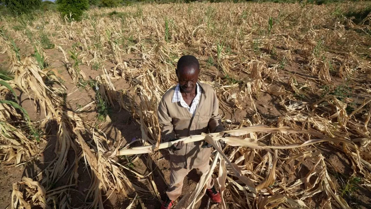 Zimbabwe là một trong số các quốc gia ở Nam Phi đang phải đối mặt tình trạng khan hiếm lương thực do đợt khô hạn nghiêm trọng kéo dài. (Nguồn: Sky News) Zimbabwe là một trong số các quốc gia ở Nam Phi đang phải đối mặt tình trạng khan hiếm lương thực do đợt khô hạn nghiêm trọng kéo dài. (Nguồn: Sky News)